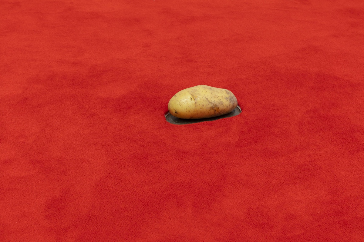 Untitled, 1999/2009/2020. carpet, potatoes. dimensions variable