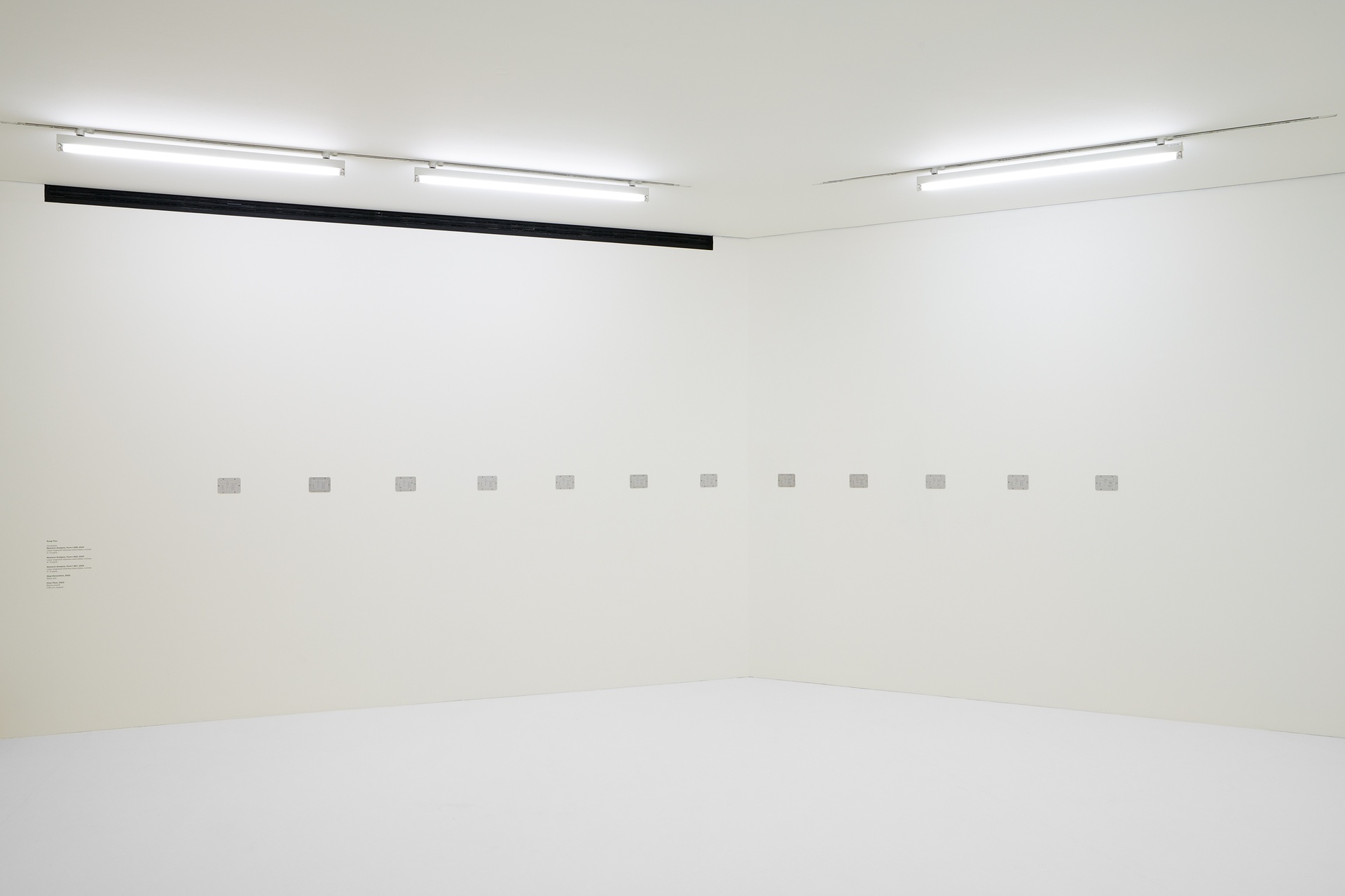 Installation view, Sung Tieu, Civic Floor (2022), MUDAM, Luxembourg