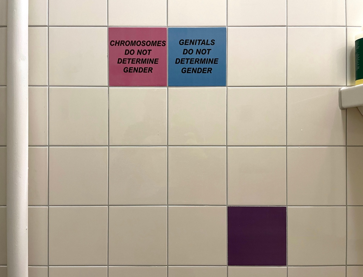 Puppies Puppies (Jade Guanaro Kuriki-Olivo)Sex and Gender and the Lack Thereof (Differences), 201830 customized tiles