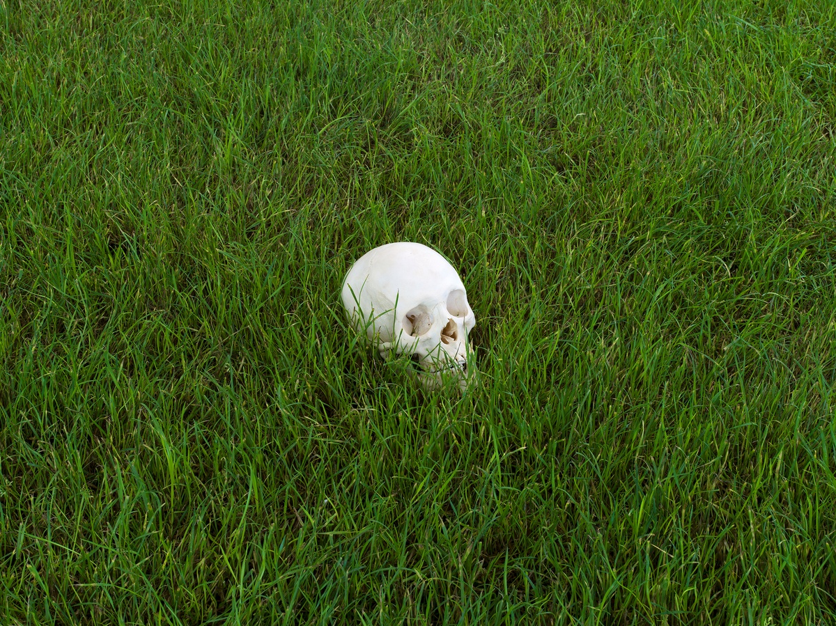 Puppies Puppies (Jade Guanaro Kuriki-Olivo)Andrew Olivo 6.7.89-6.7.18 (detail), 2018Grass, real human bones, gravestone