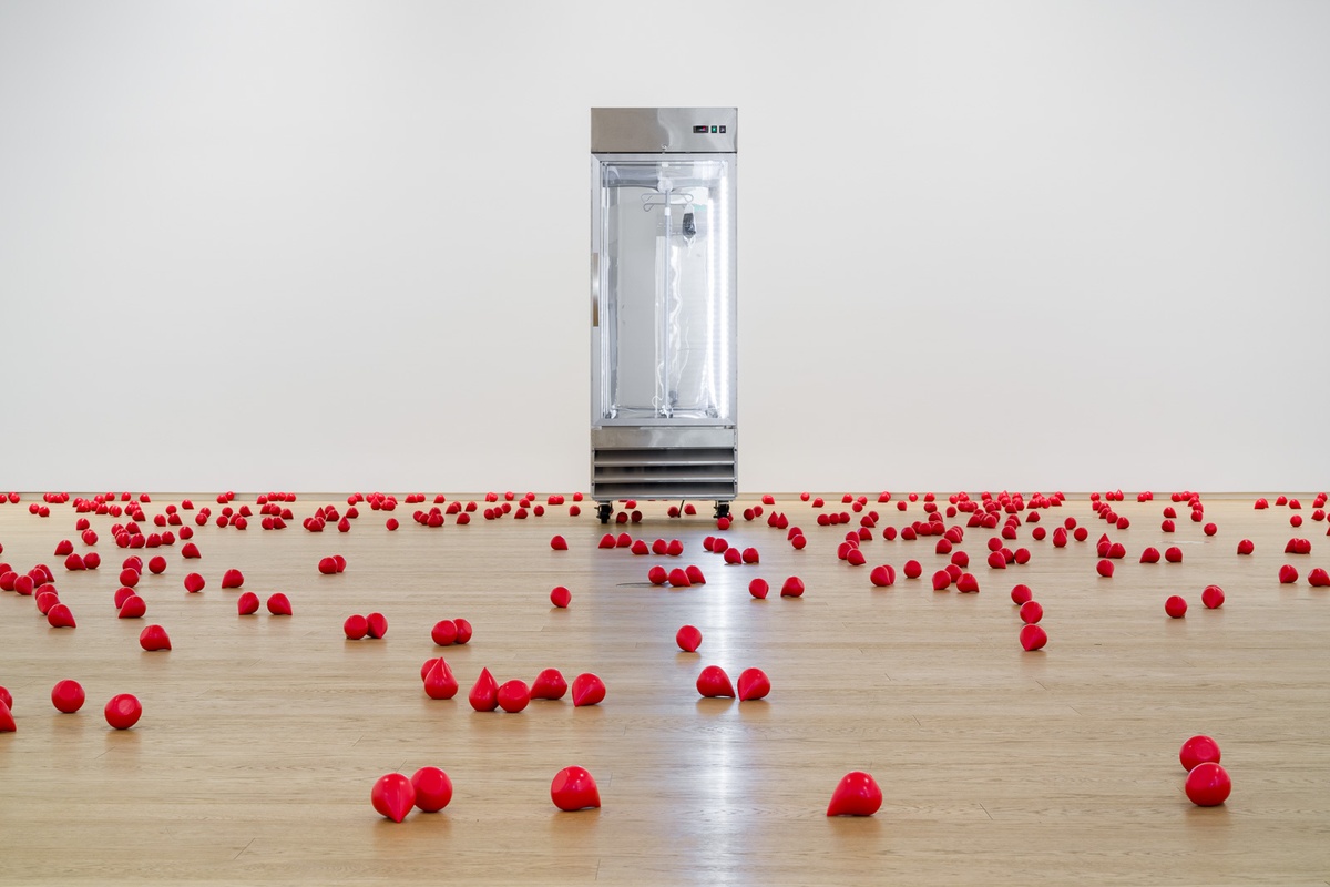 Portrait (My Blood), 2019. The artist’s blood, blood donation bag, IV stand, fridge. Dimensions variable