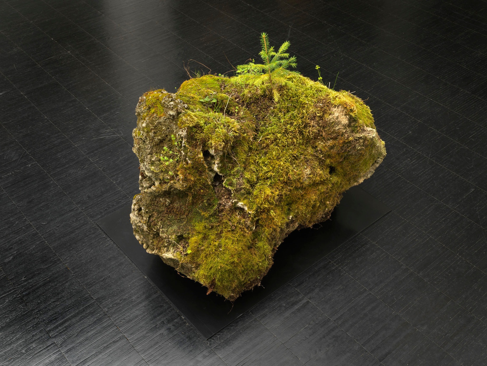 Andrea Büttner. Tuffstein, 2018. tuff stone, moss. dimensions variable