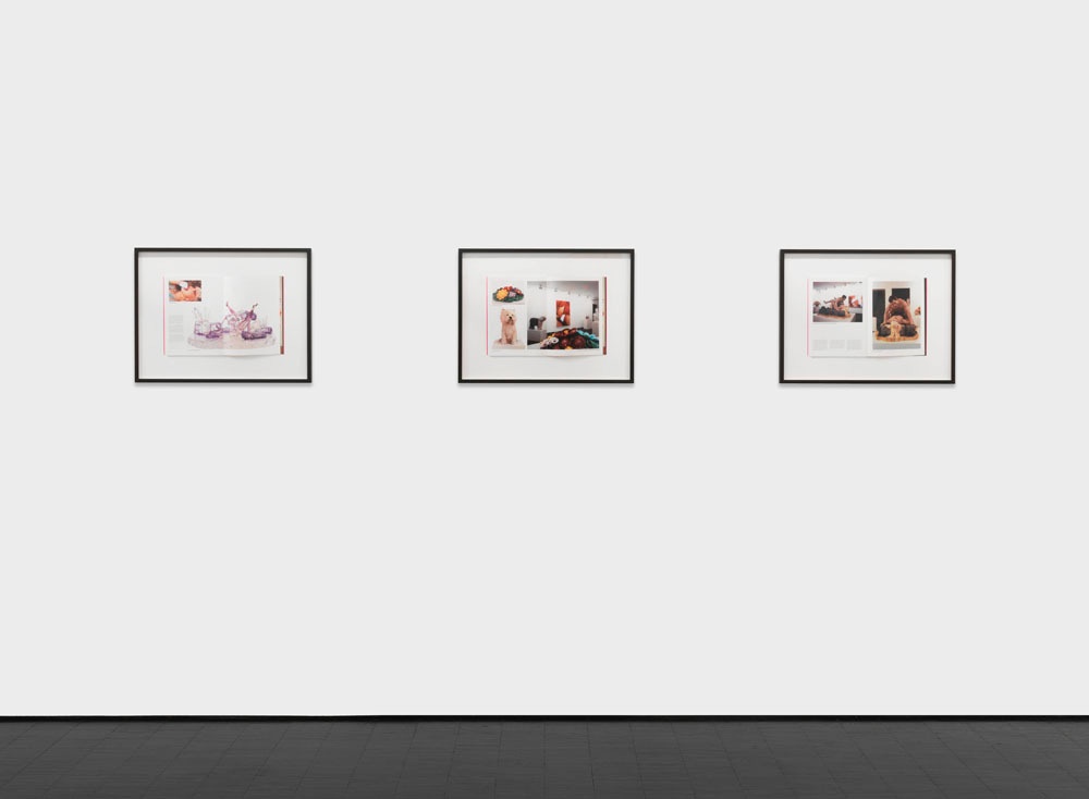 Maria Eichhorn. Prohibited Imports [Jeff Koons], 2003/2015. inkjet print on paper. 19 2/3 x 25 2/3 in. installation view