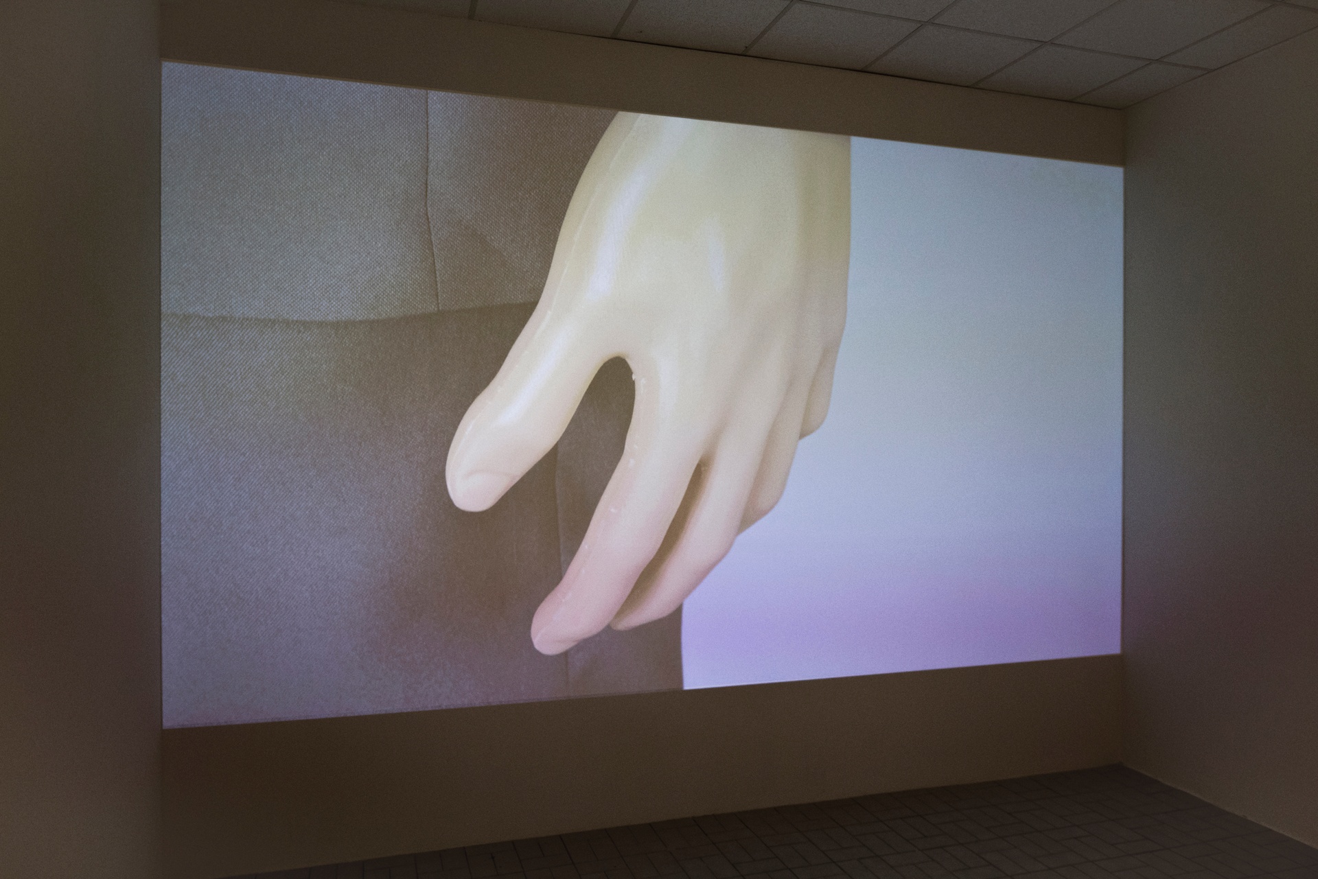 What is a Subject, 2018 (installation view). Digital Videoinstallation 16:9, 5:21 min